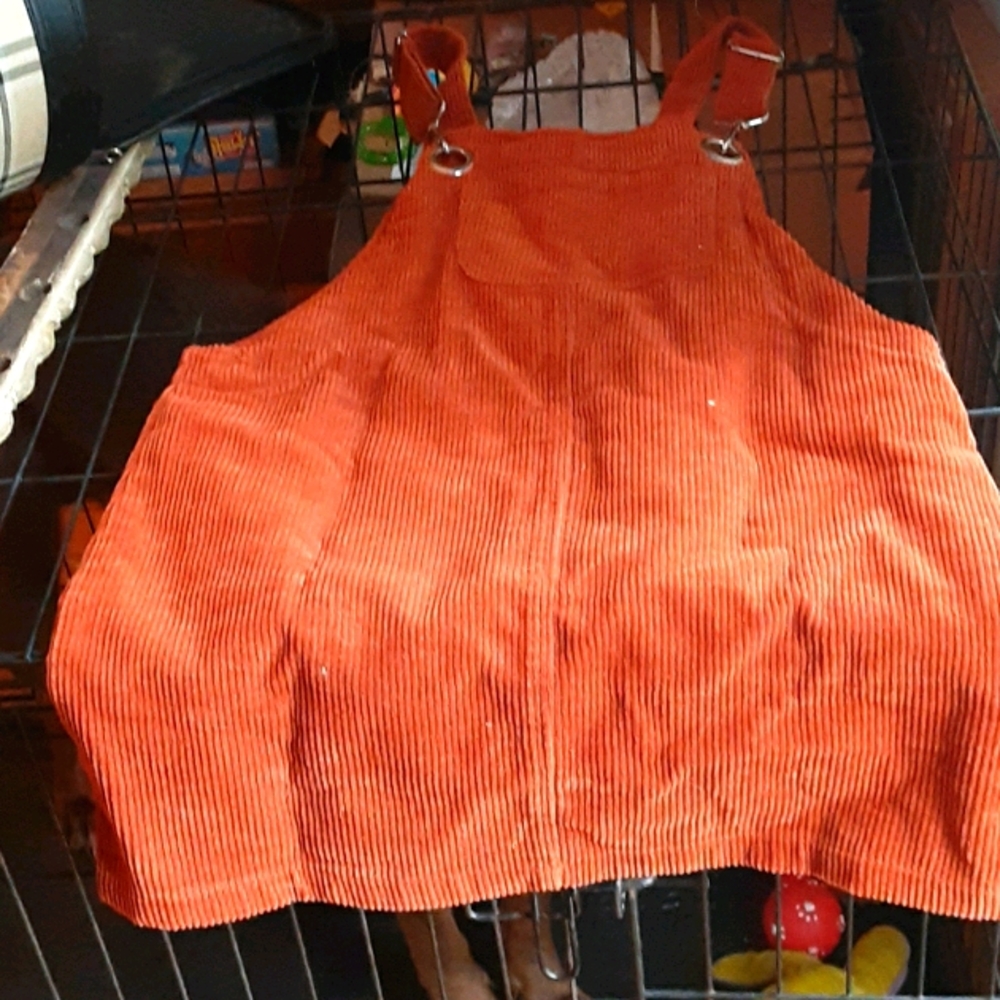 Orange overalls